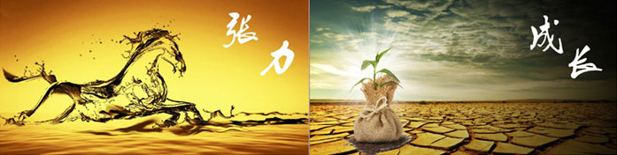 企業(yè)發(fā)展要學(xué)會(huì )取他人之長(cháng)、補自己之短